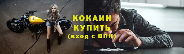 мяу мяу мука Медвежьегорск